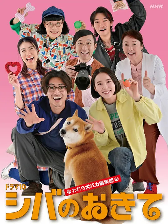 飘花电影新片：少年与海